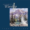 Instrumental Worship I, 2011