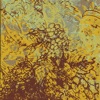 Plants and Animals