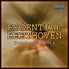 Beethoven: Anthology Vol. 19