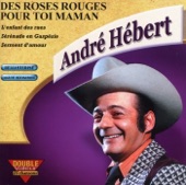 Des roses rouges pour toi maman