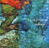 Kaya Project - Raag to Ragga