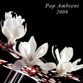 Pop Ambient 2009 artwork