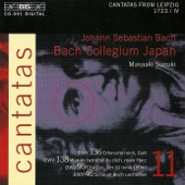 Bach, J.S.: Cantatas, Vol. 11 - Bwv 46, 95, 136, 138 artwork