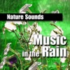Nature Sounds - Just Kicking Back - Peaceful Rain