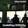 Yodelling Hillbilly, Vol. 2 album lyrics, reviews, download