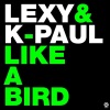 Lexy & Deshy - Like A Bird (Aka Aka & Thalstroem Remix)