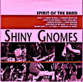 Shiny Gnomes - Shiny