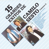 15 Grandes Exitos de Camilo Sesto, Vol. II artwork