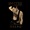 JIM COLE - Goodbye?