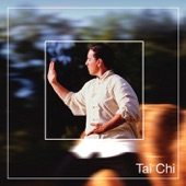 Tai Chi artwork