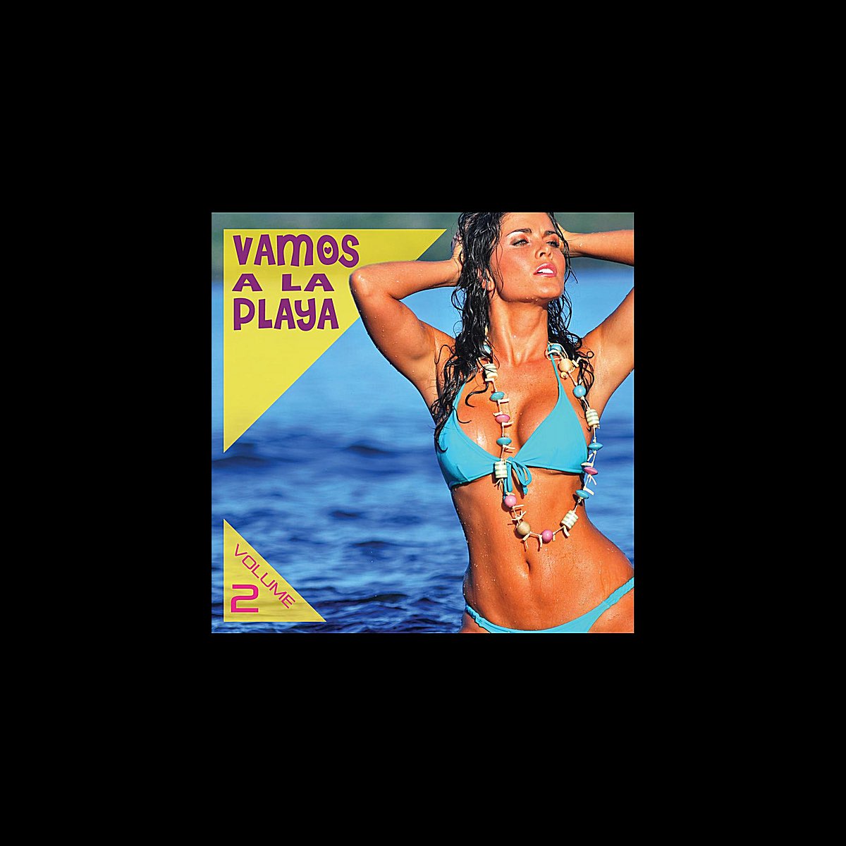 vamos-a-la-playa-vol-2-by-various-artists-on-apple-music