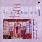 String Quartet in E Minor: Andantino artwork