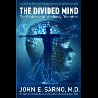 John E. Sarno - The Divided Mind (Abridged Nonfiction) artwork