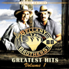 If I Said You Have a Beautiful Body (Would You Hold It Against Me) [Re- Recorded] - The Bellamy Brothers