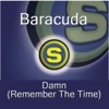 Damn (Remember the Time) - EP, 2008