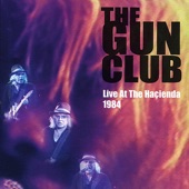 The Gun Club - Stranger In Our Town