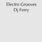 Electro Grooves - DJ Ferry lyrics