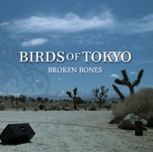 Birds Of Tokyo - Broken Bones