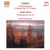 Oslo Quartet - String Quartet in G minor, Op. 27: II. Romanze: Andantino - Allegro agitato