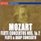 Flute & Harp Concerto, KV. 299: II. Andantino artwork