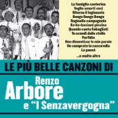 Le più belle canzoni di Renzo Arbore e "I Senzavergogna" artwork