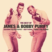 James & Bobby Purify - I Was Born to Lose