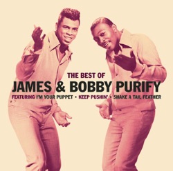 James & Bobby Purify - I'm Your Puppet