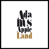Adam's Apple - Confundo (Original Mix)