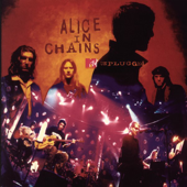 MTV Unplugged (Live) - Alice In Chains