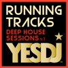 Running Tracks: Deep House Sessions V.1 (60 Min. Non-Stop DJ Mix @ 132BPM for Running, Jogging and Treadmill)
