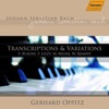 Transcriptions and Variations of Music By J. S. Bach artwork