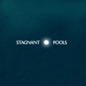 Stagnant Pools - Consistency