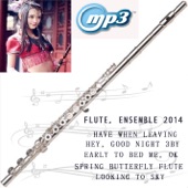 Flute, Ensemble 2014 - EP artwork