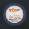 Fields of Joy - Single, 2012