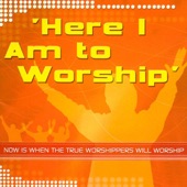 Here I Am To Worship, Vol. 1 artwork