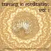 Stream & download Turning in Meditation, Vol. 1 - A Fine Selection of Binaural Chill Out, Yoga Flow and Deep Electronic Ambient