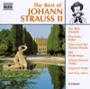 Johann Strauss Jr - Rosen aus dem Süden