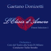 L'elisir d'amore, Act I: Udite, udite, o rustici (Dulcamara, Coro) artwork