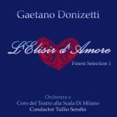 L'elisir d'amore, Act II: Ei corregge ogni difetto (Dulcamara, Coro, Adina, Nemorino, Belcore) artwork