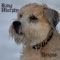All Because of You - King Murphy lyrics
