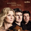Schweizer Klaviertrio - Piano Trio in G Minor, Op. 17: III. Andante