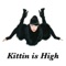 Kittin Is High - EP