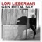 Another Galaxy - Lori Lieberman lyrics
