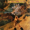 Bongwater - Obscene And Pornographic Art