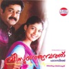 Vijay Yesudas - Mizhikalkkinnu