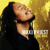 2 The Max artwork