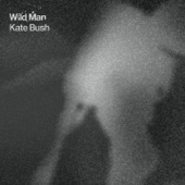Kate Bush - Wild Man (Radio Edit)