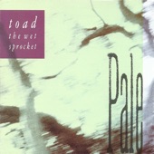 Toad the Wet Sprocket - Don't Go Away