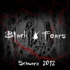 Schwarz (Remix 20120) - Single