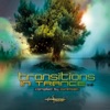 Transitions in Trance, Vol. 2 By Ovnimoon, 2013